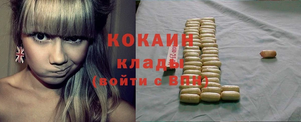 прущий лед Бородино