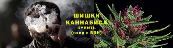 прущий лед Бородино
