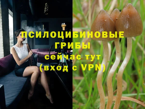 прущий лед Бородино