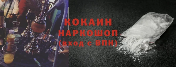 прущий лед Бородино