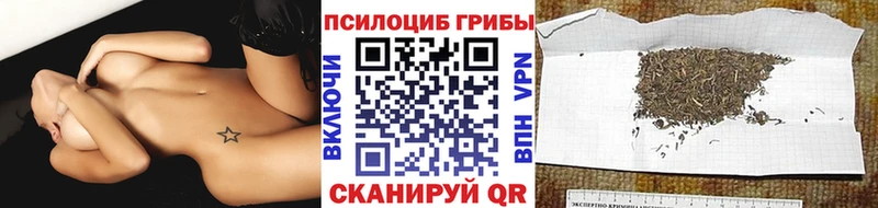 Псилоцибиновые грибы GOLDEN TEACHER  Лиски 